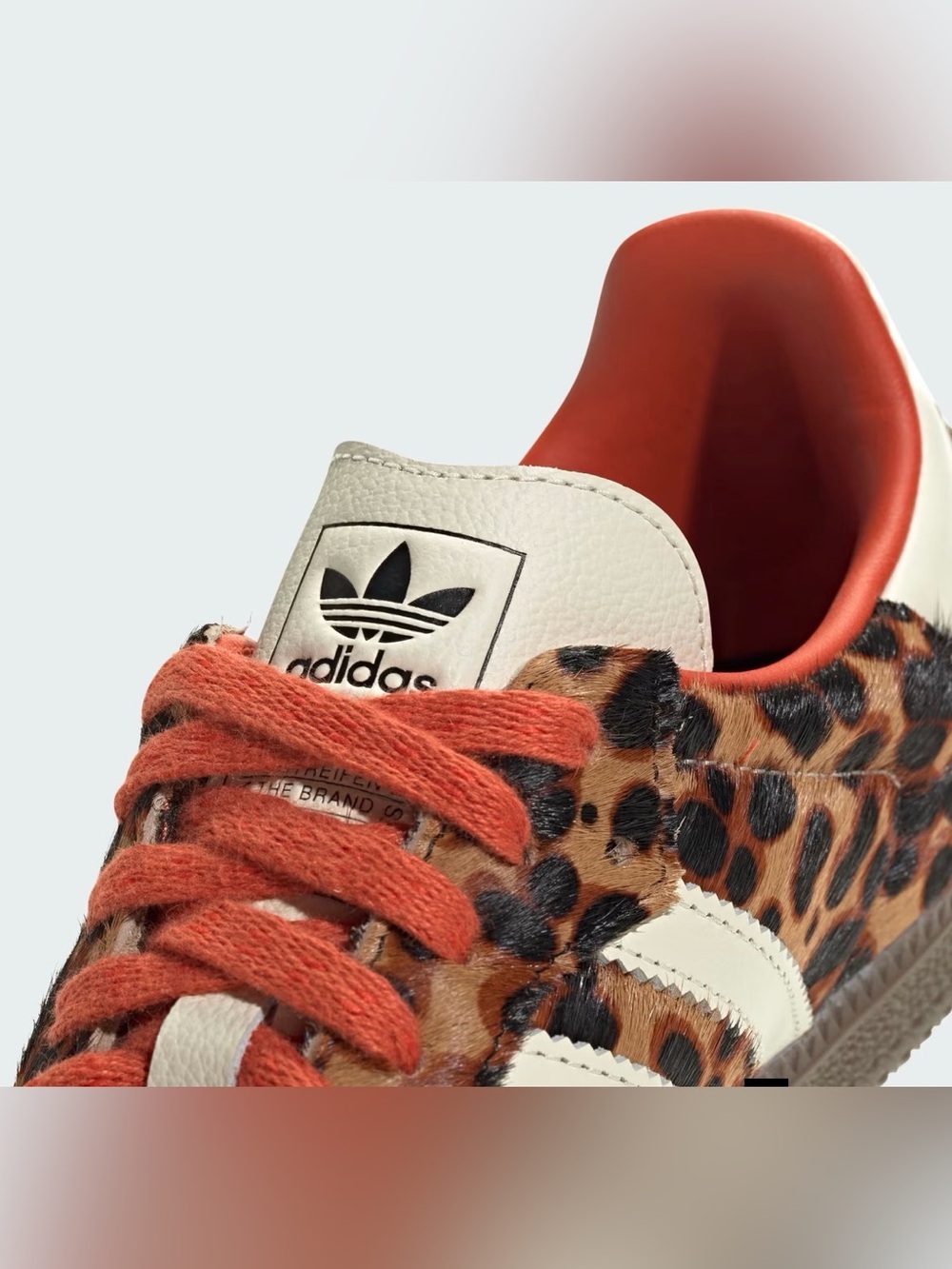 adidas Samba OG - Leopard - Picture 3 of 10